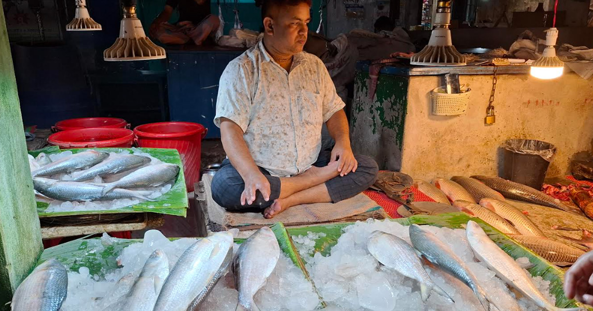 বৈশাখের বাজারে ইলিশের নীরবতা, দাম বাড়তি নেই ক্রেতা