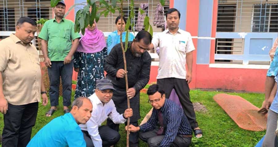 সোনারায় উচ্চ বিদ্যালয়ে বৃক্ষরোপণ অভিযান কর্মসূচি পালিত