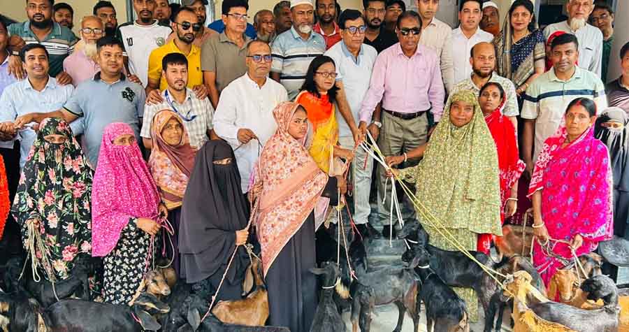 নুনগোলায় অসহায় ও অস্বচ্ছল নারীদের মাঝে ছাগল বিতরণ