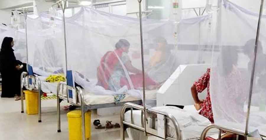 পঞ্চগড়ে ডেঙ্গু আতঙ্ক নেই, আক্রান্তরা সবাই বাইরে থেকে আসা